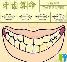 人的牙齿颗数和命运是否有关 人的牙齿颗数和命运是否有关