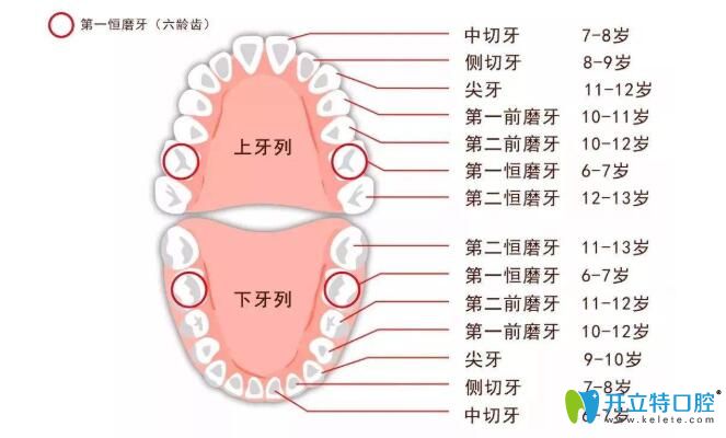 六龄齿会换吗？小孩子六龄齿坏了怎么办？爸妈一定要看哦