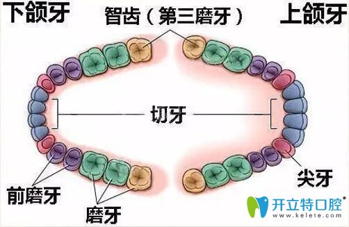 智齿冠周炎怎么治疗 智齿冠周炎怎么治疗