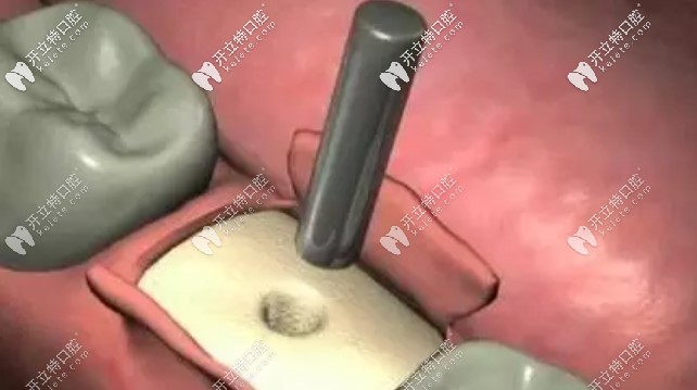 范增悦